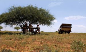 Camping in the bush